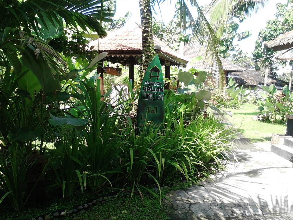 Pondok Balian Selemadeg  Extérieur photo